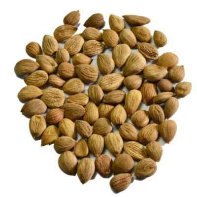 cheap distributors of bitter and sweet Apricot Kernels