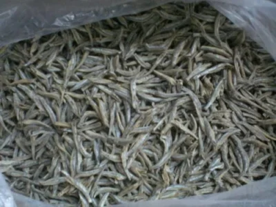 Buy quality Dried Anchovies fish in bulk at wholesale price