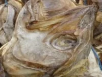 Buy quality Stockfish for sale at cheap wholesale prices