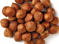 Bulk raw and roasted Organic Hazelnuts available at wholesale for sale online