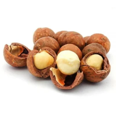 supplier of quality Macadamia Nuts