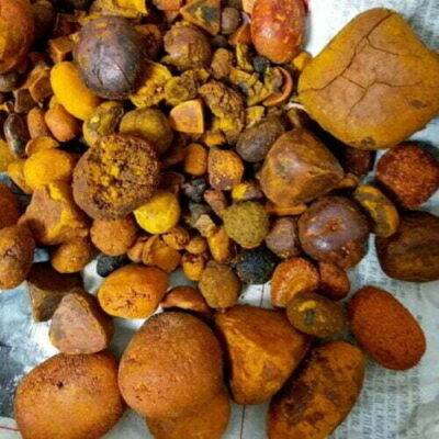 supply Natural Ox Cattle Cow Gallstones at Wholesale price