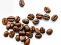 best supplier of Robusta coffee beans
