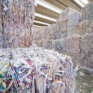 Sorted white Office waste Paper Tissue Paper Scrap and equally a reliable supplier of paper waste