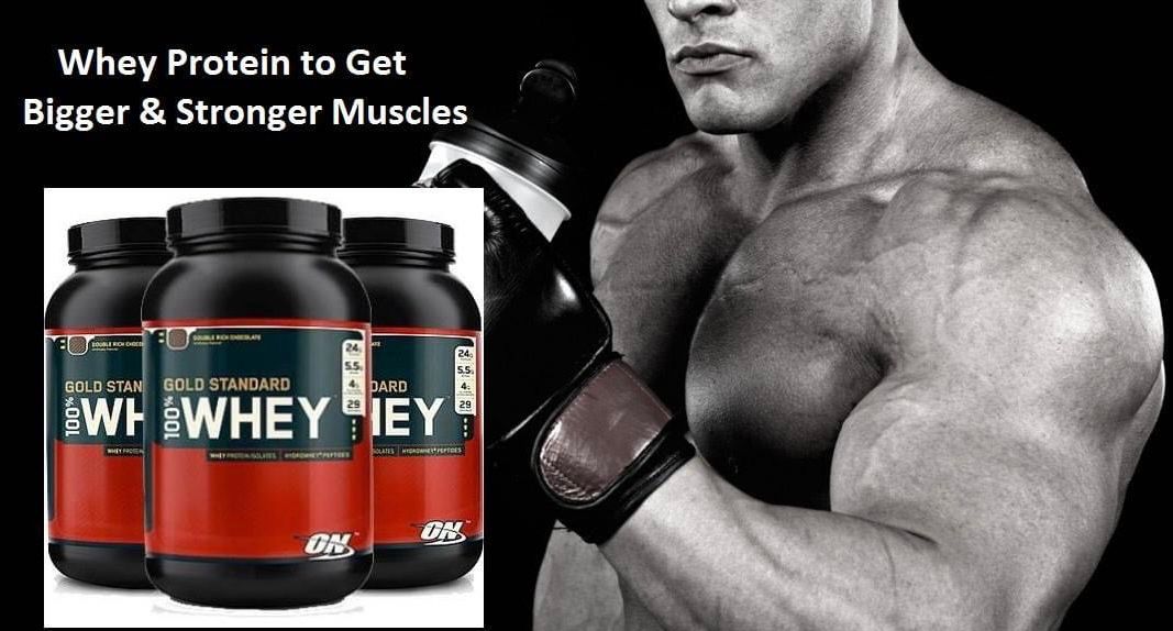 How Can Whey Protein help in Obtaining your Dreamed Body?