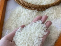 best supplier & shipper of premium Jasmine and basmati rice