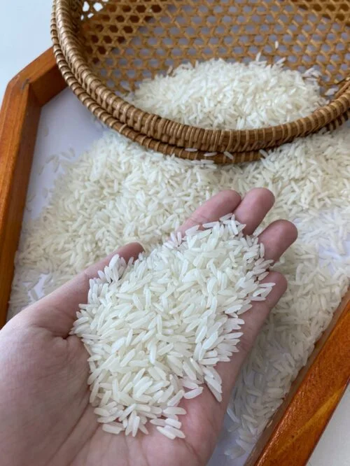 Grain Rice